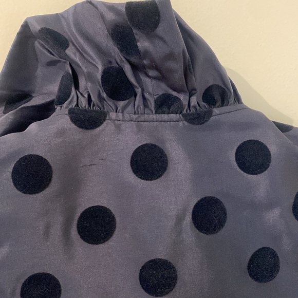 Devon Baer via Tuckernuck Navy Polka Dot Ruffle Neck Blouse - Picture 6 of 6